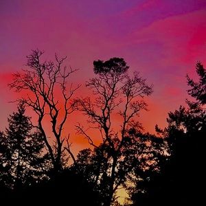 Meet your Posher, Abbey